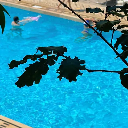 Campsite Village Santa Fortunata - Campogaio Sorrento